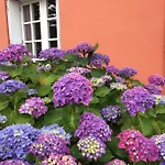 La Belle Etoile Thouare-sur-Loire