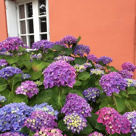 La Belle Etoile Thouare-sur-Loire
