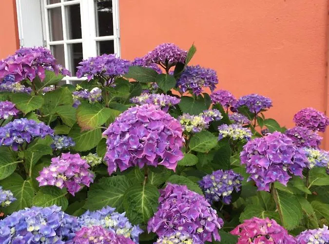 La Belle Etoile Thouaré-sur-Loire